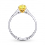 White and Gold 1 1/10ct TDW Yellow Diamond Engagement Solitaire Ring - Handcrafted By Name My Rings™